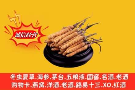 苏尼特左旗求购回收虫草多少钱每克